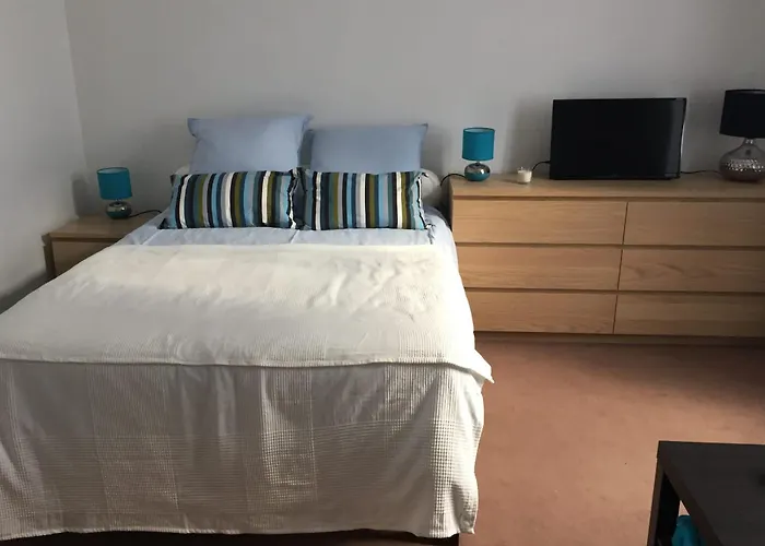 公寓 Large In The Heart Of 南特